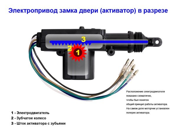 Почему не работает центральный замок, как устранить неисправности своими руками?